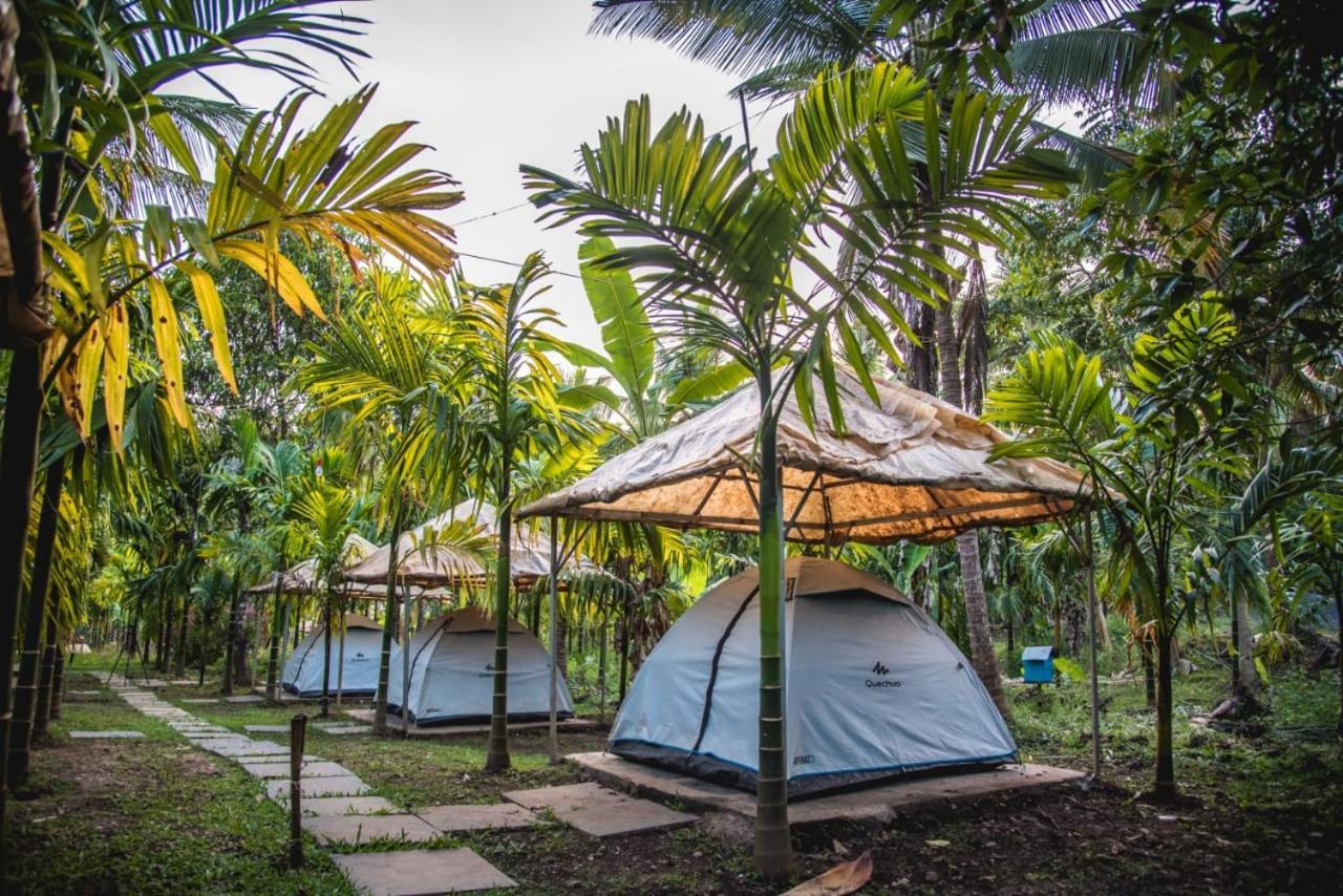 Dandeli Jungle Resort Habitación foto